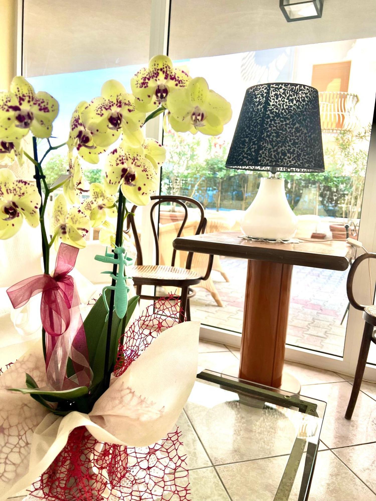 Hotel B&B Montecarlo Milano Marittima Dış mekan fotoğraf